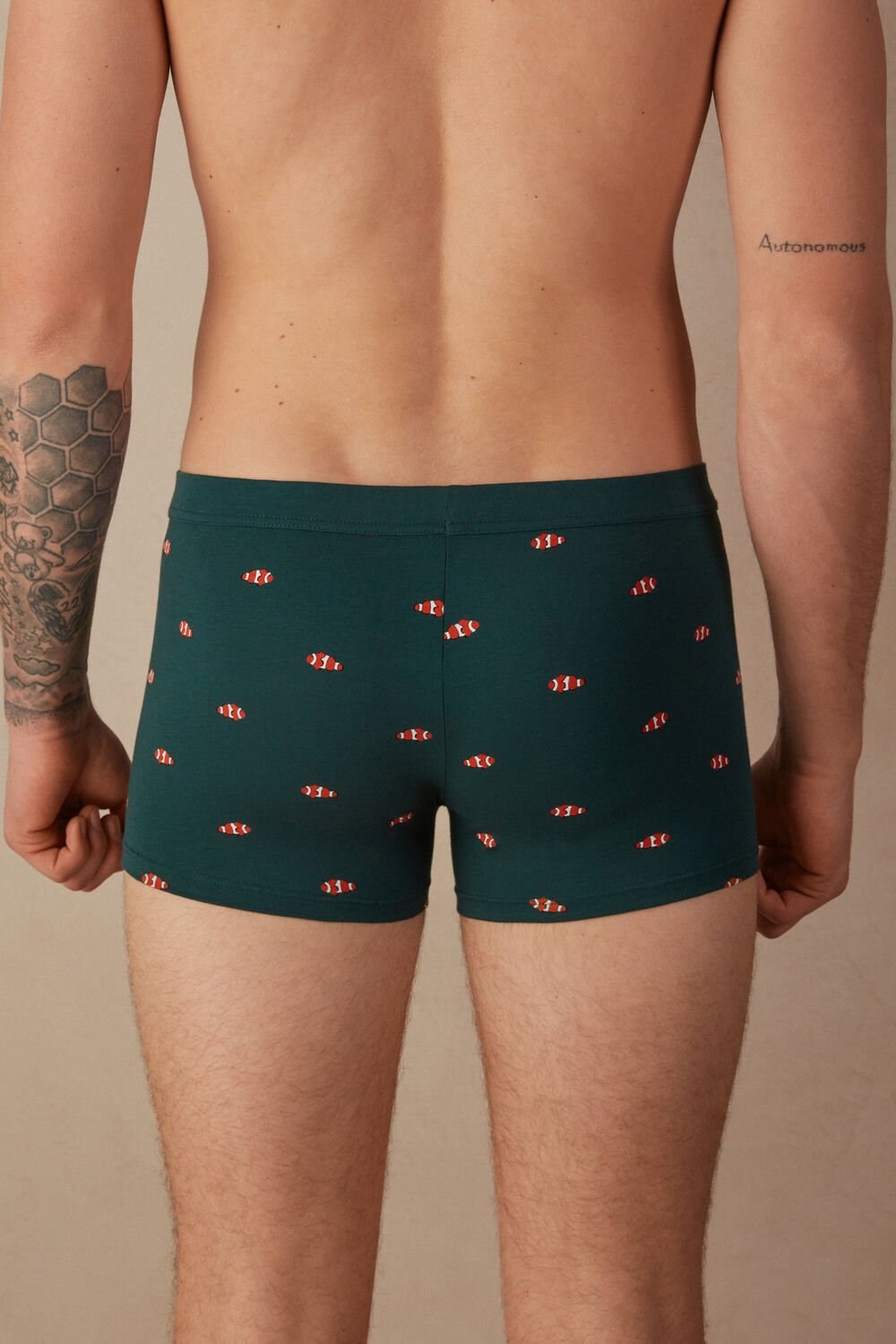 Intimissimi Clownfish Boxers in Natural Fresh Supima® Katoenen Groen Donkergroen | 41329XLJW